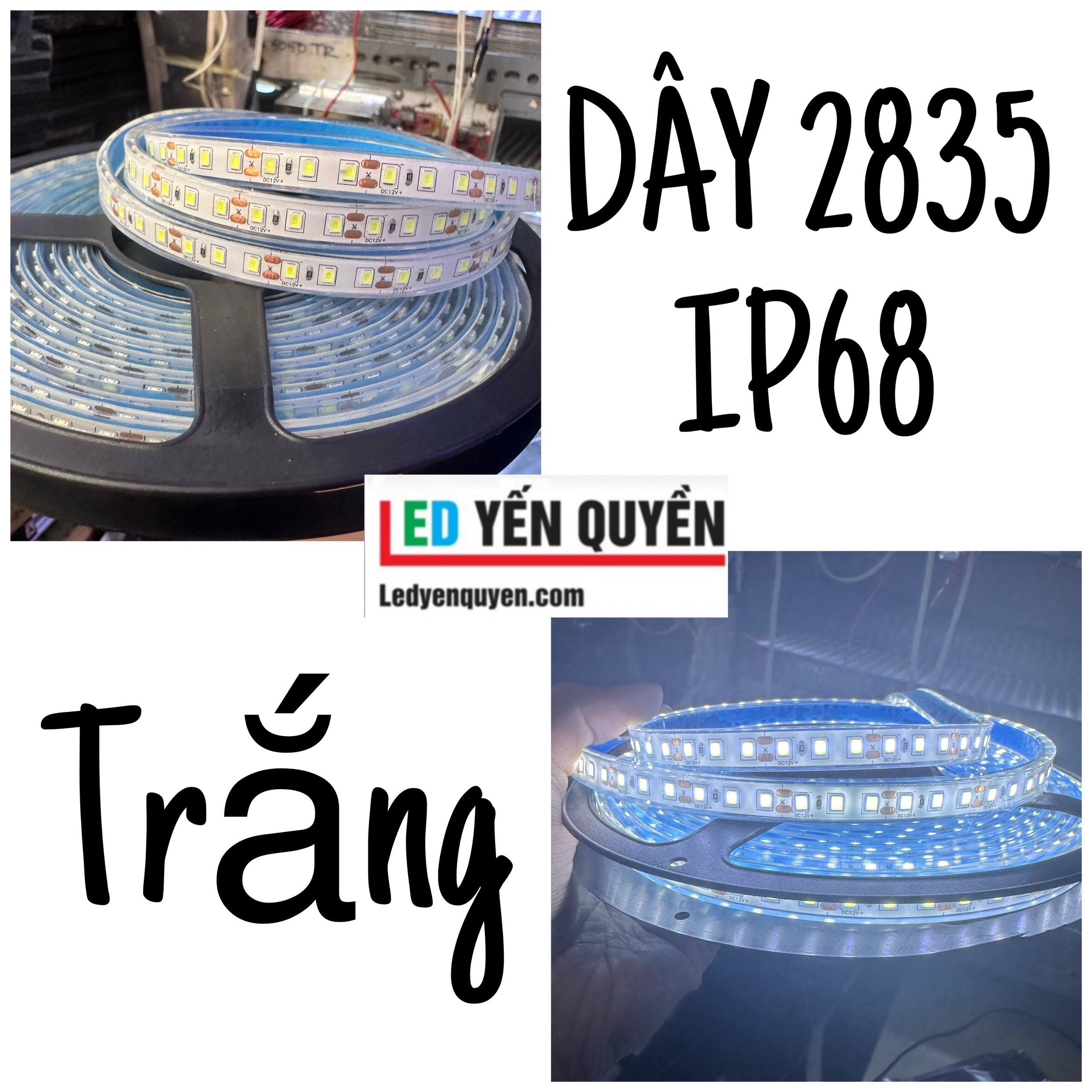  LED DÂY IP68 2835 nhuyễn